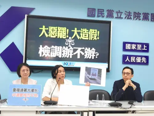辦藍不辦綠?罷藍連署高達15萬份不合格 陳玉珍嗆中選會瀆職